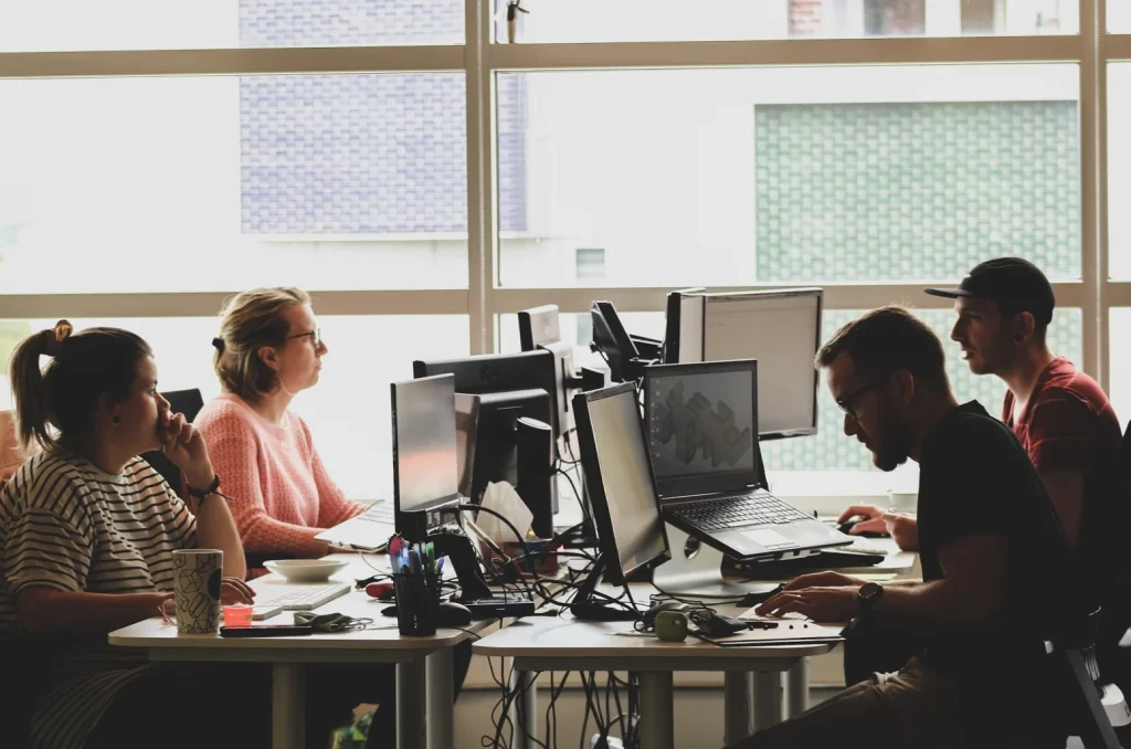 Working Dot Net Developers in office