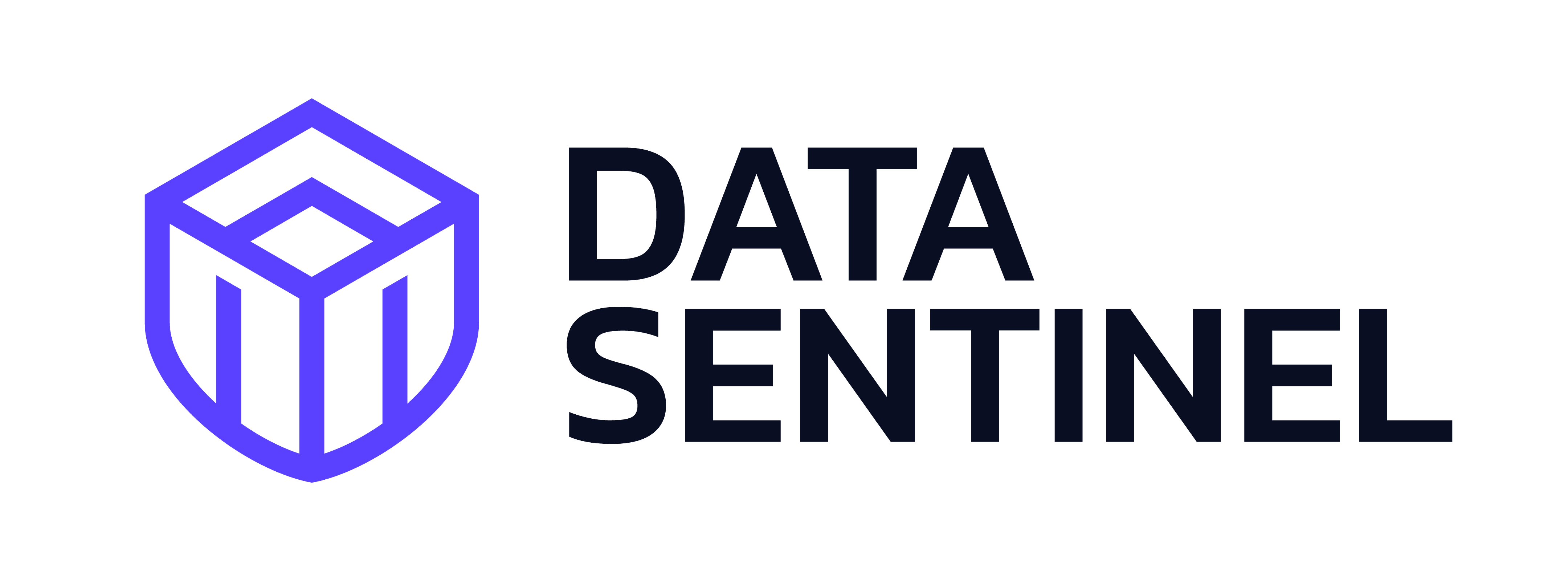 Data Sentinel