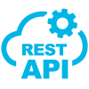 Custom REST APIs